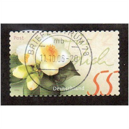 GER 2004 €0.55 (S/A) 'GREETING STAMPS -CAMILLIA' FINE USED (EBID30-336)