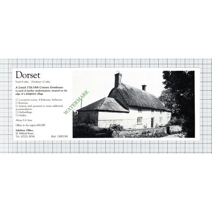 Yeovil Dorset House Sale Advert - 1981 Cutting