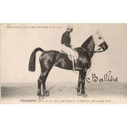 Ieliotrope La France Chevaline Race 1885 Horse Signed Old PB Postcard
