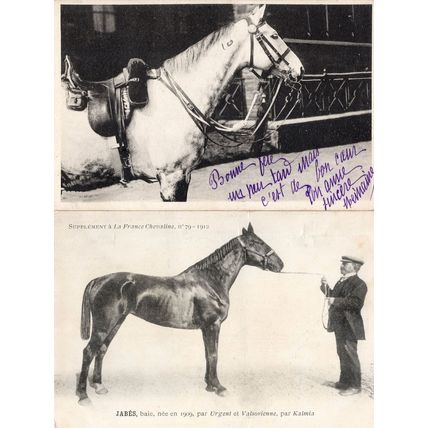 Jabes La France Chevaline 1909 Race Horse Antique PB Postcard