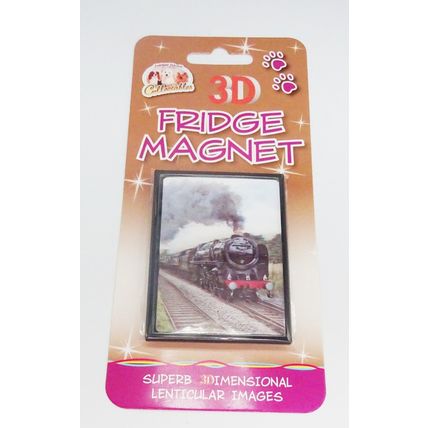 STEAM TRAIN fridge magnets 3D or Antique brass effect 8 choices