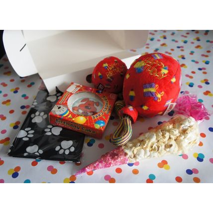 DOG GIFT BOX WITH DOG BANDANA BIRTHDAY BALLOON TOY POPCORN & DOG BIRTHDAY CAKE