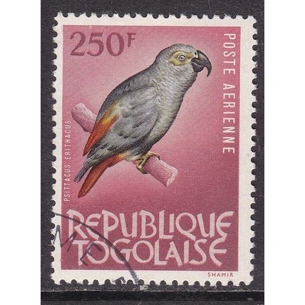 Togo 1965 Grey Parrot 250f Fine Used SG 364 VGC