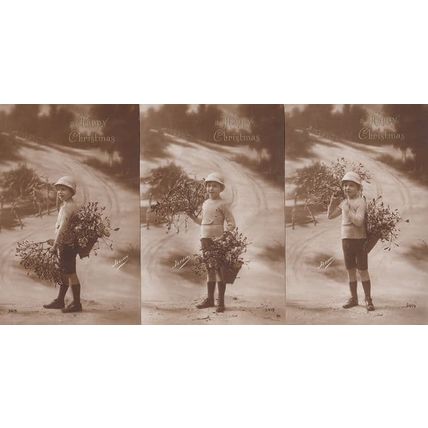 Boy Carrying Mistletoe Berries Tree Basket Carrier 3x Antique Christmas Postcard