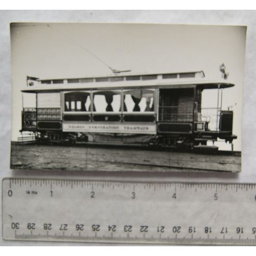 Photo Nelson Tram