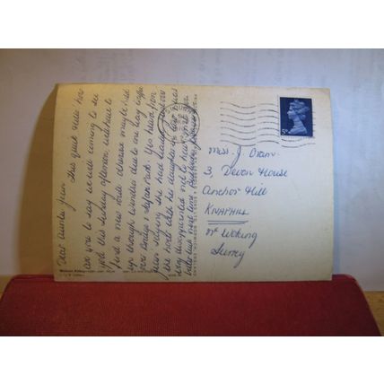 CAT & DOGS by Lucy Leavers, WOBURN ABBEY, used postcard 1970 pm =