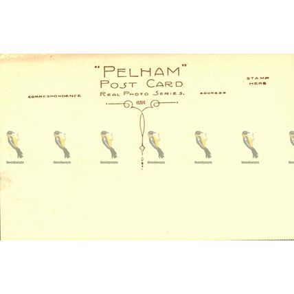 Buxton from the Town Hall, Derbys, Pelham RP, Postcard