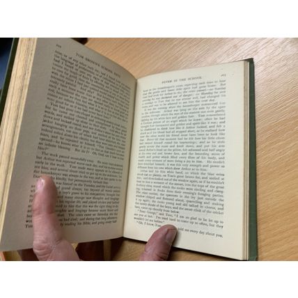 1917 THOMAS HUGHES "TOM BROWN'S SCHOOL DAYS" ILLUSTRATED HARDBACK BOOK (P3)