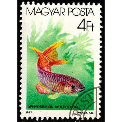 Hungary 1987 Fish 4ft Used Stamp #4