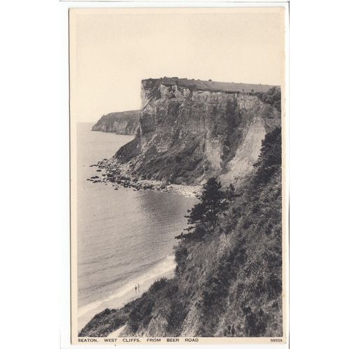 Seaton West Cliffs from Beer Road Postcard Devon 59559
