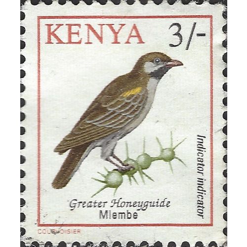KENYA, BIRD, Greater Honeyguide, Indicator indicator, brown 1993, 3/-