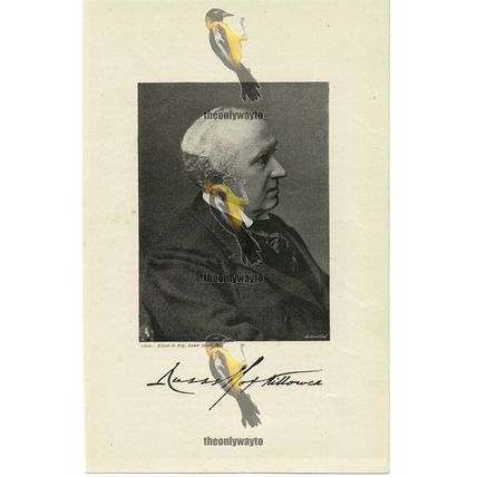 Lord Russell Of Killowen, Lord Chief Justice, Book Illustration (Print), 1895