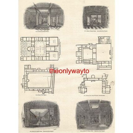 Roman Villas, Plans & Rooms, Britain & Pompeii, Book Illustration (Print), c1856