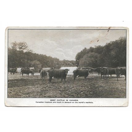 2 postcards lot Canada emigration advertising multiview scenes towns & cattle