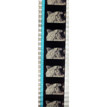 KIDS MIX PK - KTQ - E0106b . 1 STRIP OF 5 - 35MM - FILM CELLS