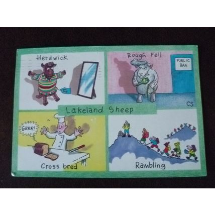 Lakeland Sheep 1992 used Cartoons comic postcard Colin Shelbourn British humour