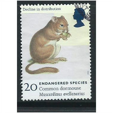 Great Britain 1998 Endangered Species 20p Common Dormouse Used SG 2015 stamp