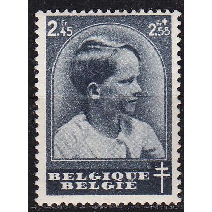 BELGIEN BELGIUM [1936] MiNr 0441 ( */mh )