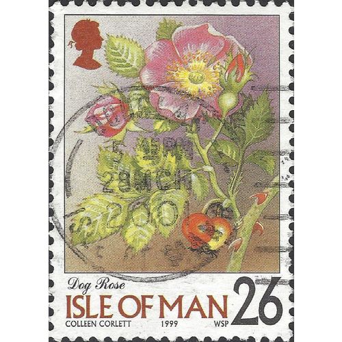 ISLE O MAN, FLOWER, Dog Rose. Rosa canina, red 1999, 26p, #3