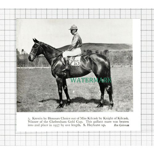 C5454) S Hayhurst Horse Jockey Kerstin - 1959 Cutting