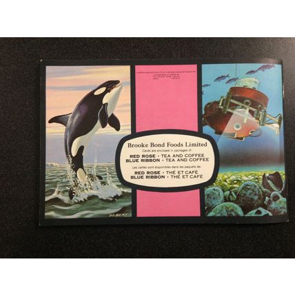 1971 Brooke Bond Album 14 Red Rose Tea 48 Card Album Exploring the Ocean MINT #2