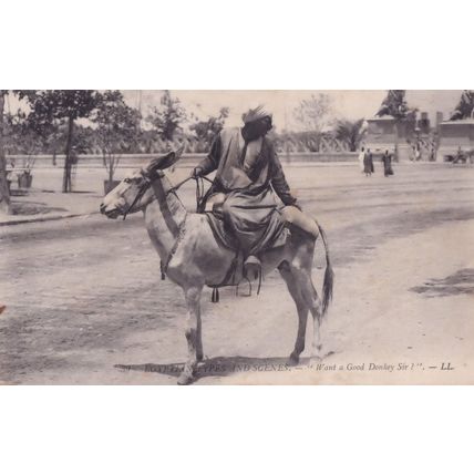 Want A Good Donkey Egypt Old Postcard