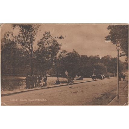 Eagle Pond Snaresborough Yorkshire Bicycle Antique Postcard