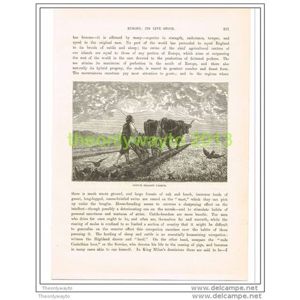 FRENCH PEASANT FARMER, FRANCE, Book Illustration c1890
