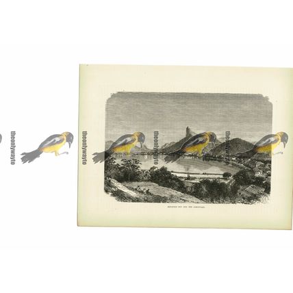 Botafogo Bay & Corcovado, Rio De Janeiro, Brazil, Book Illustration, c1880