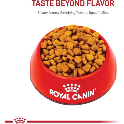 Royal Canin Dachshund Adult Breed Specific Dry Dog Food, 10 Lb Bag
