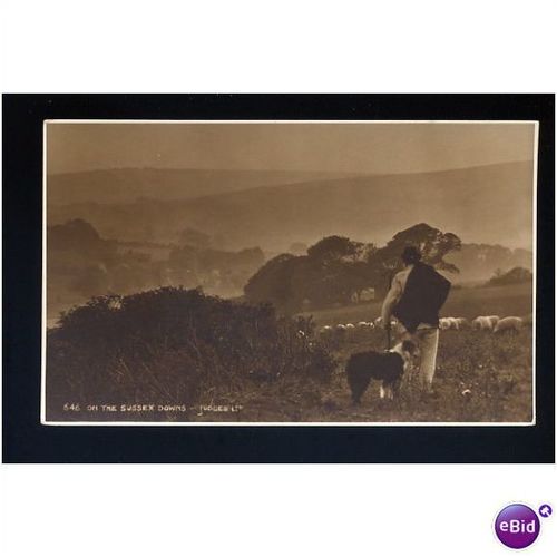SUSSEX DOWNS Postcard by Judges 646