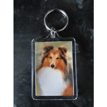 DOG BREED KEY RINGS QUALITY ACRYLIC DOUBLE SIDED PHOTO KEY RINGS 33 BREEDS