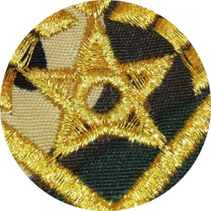 Camouflage Iron on Patch Military Stripe & Star Gold Badge Motif Applique P470