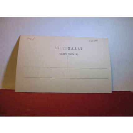 BROEDERHUIS, ZEIST, NETHERLANDS unused antique postcard =