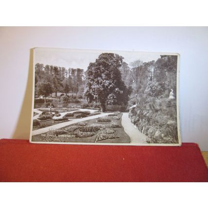 THE DINGLE, SHREWSBURY, SHROPSHIRE. unused antique postcard =