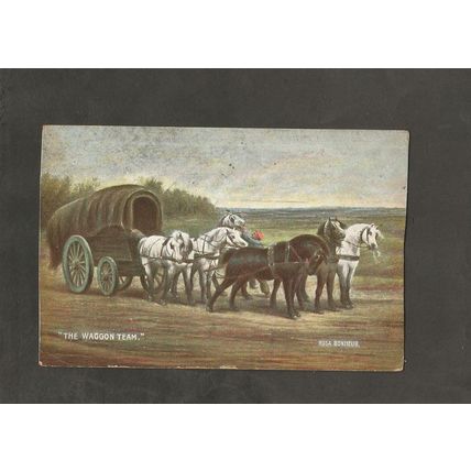 Genealogy Postcard Miss Richardson New Hall Farm Ardsley Yorkshire 1908
