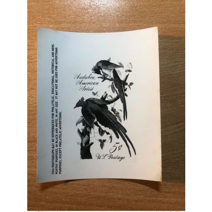 USA Etats-Unis USPS -Publicity Essay Kodak Audubon American Artist Birds Oiseaux