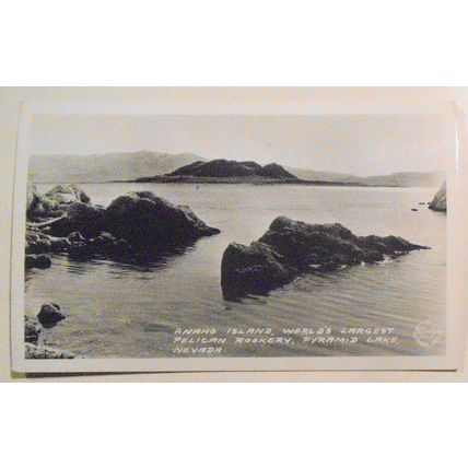 Pelicans] Anaho Island, Pyramid Lake, Nevada : 3 RPPC Antique Photo Postcards