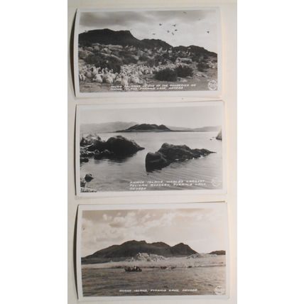 Pelicans] Anaho Island, Pyramid Lake, Nevada : 3 RPPC Antique Photo Postcards