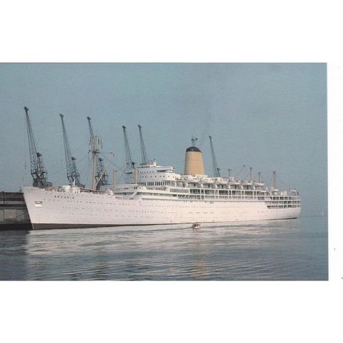P&O Line Arcadia Ocean Liner Shipping Postcard (SIL11916)