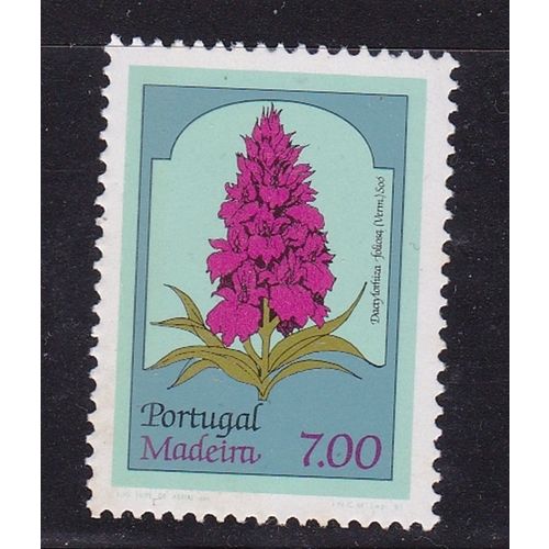 MADEIRA 1981 FLOWERS 7E VALUE MNH