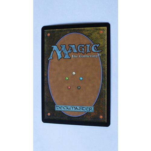Magic the Gathering MTG CCG: Time Spiral # 272 Flagstones of Trokair (A) 2006