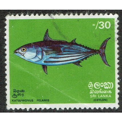 Sri Lanka 1972 Fish 30c Multicoloured SG596 GU