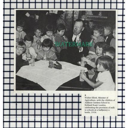(7596) Addison Gardens School Holland Road London Walter Elliott - 1980s Cutting