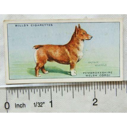 1937 Wills Dogs No. 11 Pembrokeshire Welsh Corgi