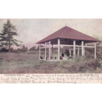 Algonquin Springs St Andrews Canada Old Postcard
