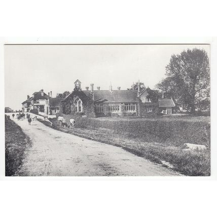 London Road Board School Burgess Hill Reproduction Postcard West Sussex