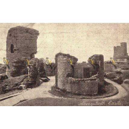 Aberystwyth Castle, Wales, Yes No Series, Postcard, 1905