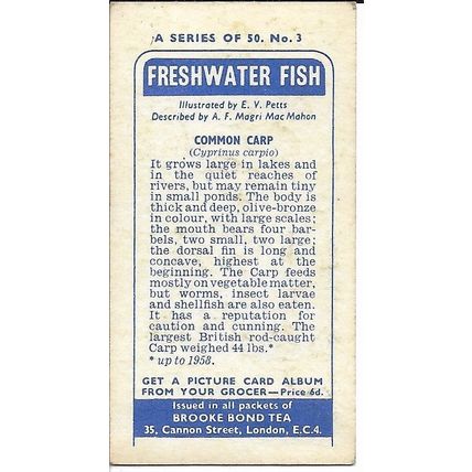 Freshwater Fish 1960 Brooke Bond Tea Card 3 - Common Carp