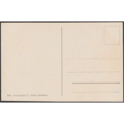 Chalet Minerve, Export, Interlaken, c.1910 - Gabler CPA